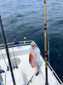 Orange Beach Report Photo 1