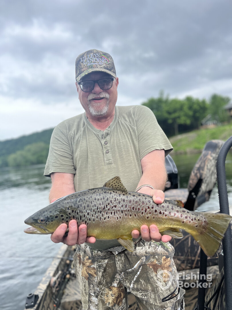 Branson Report Photo 0