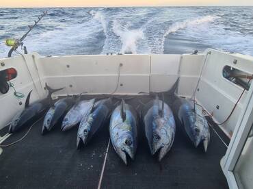 Azores Trails of Nature fishing