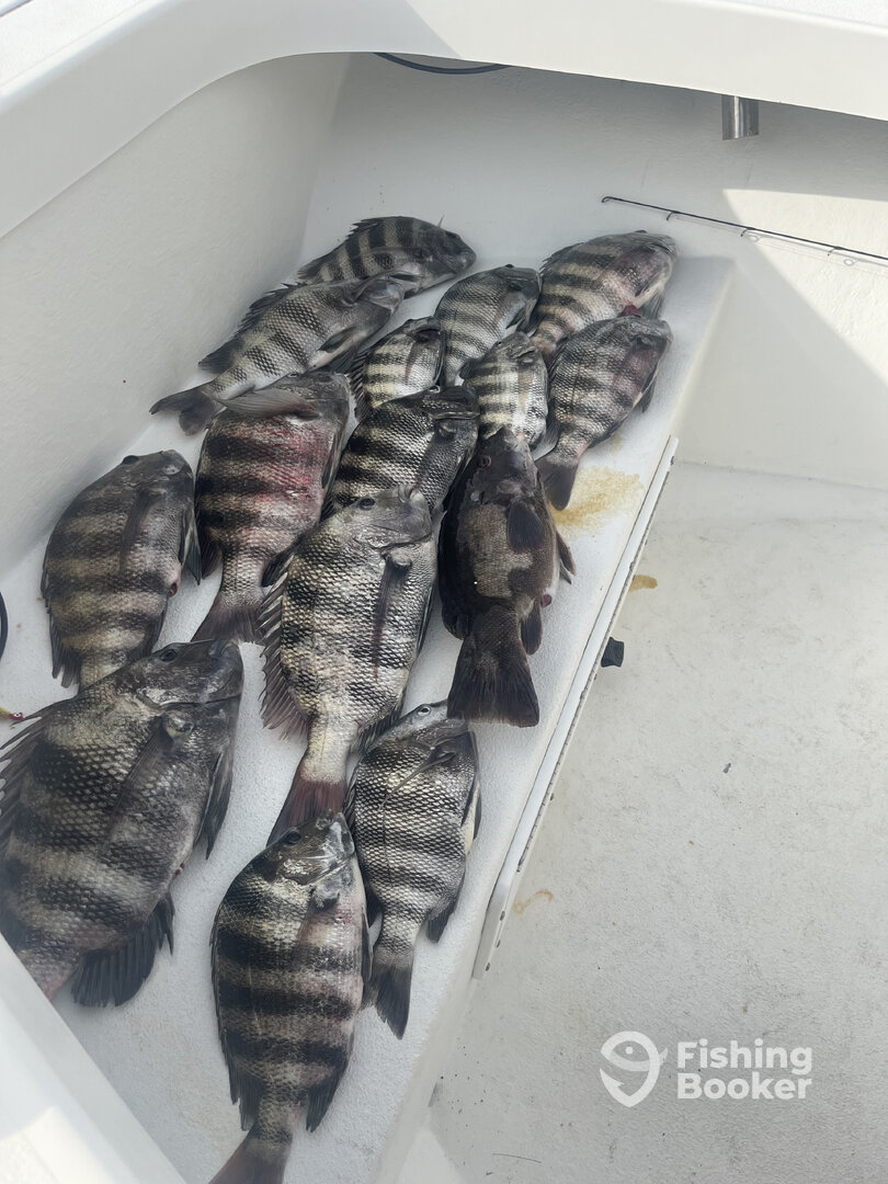 Nags Head Report Photo 0