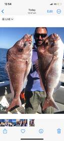 Some great snapper fishing