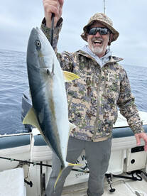 Yellowtail biting…LIMITS!!!
