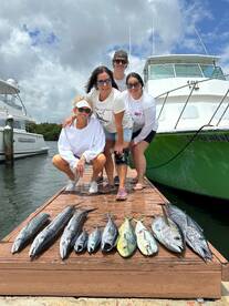 Dania Beach Report Photo 2