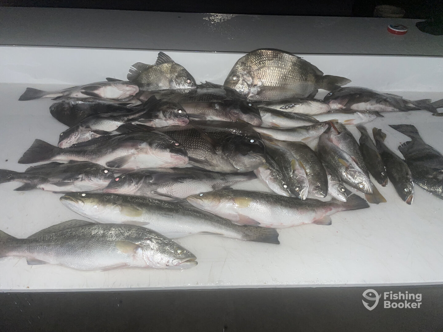 Bay St Louis Report Photo 0