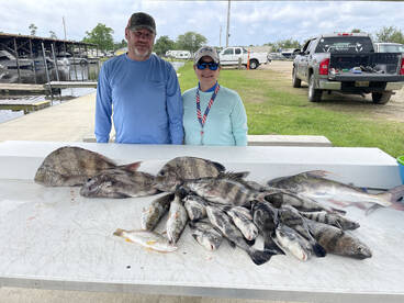 Puppy drum on the table