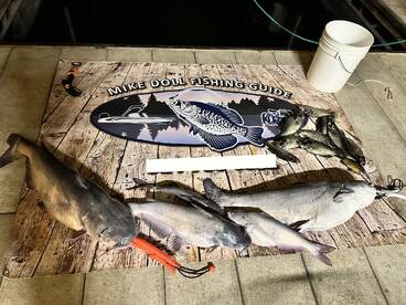 Fishing is fantastic this time of year