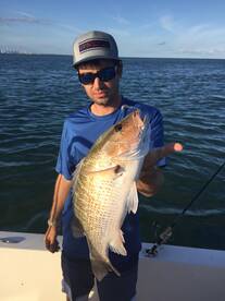 Great time to be fishing in Miami