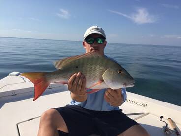 Key Biscayne Report Photo 2