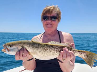 Morehead City Report Photo 2