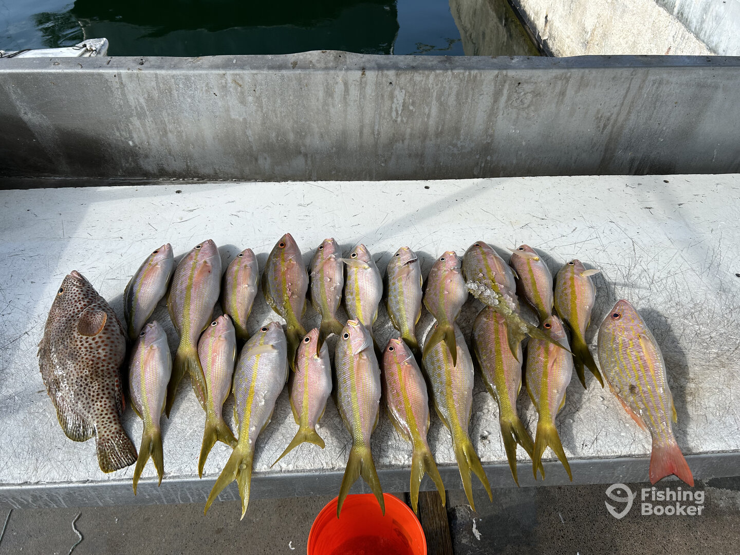 Stock Island Report Photo 0