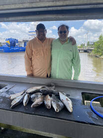 Mixed box for a very windy day
