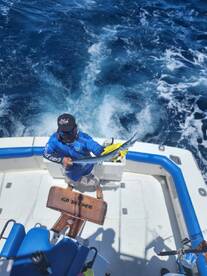 Lines always busy !!!