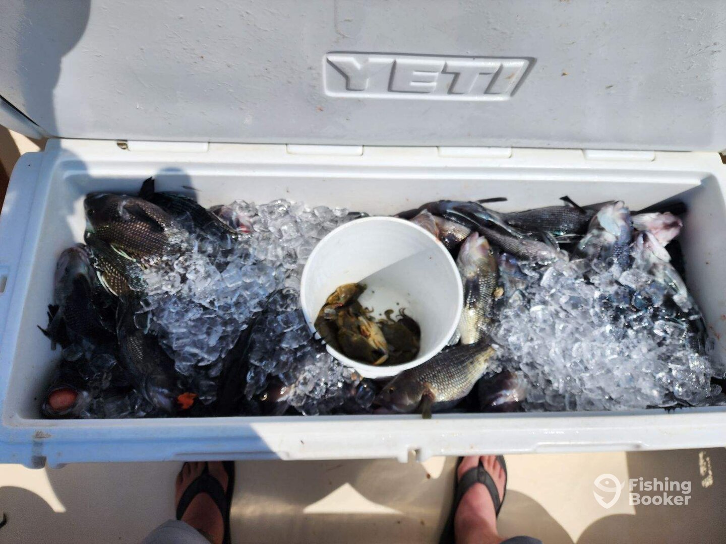 Ocean City Report Photo 0