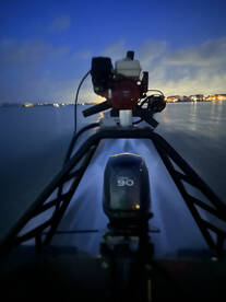 Galveston Report Photo 2