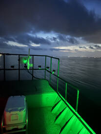 Galveston Report Photo 1