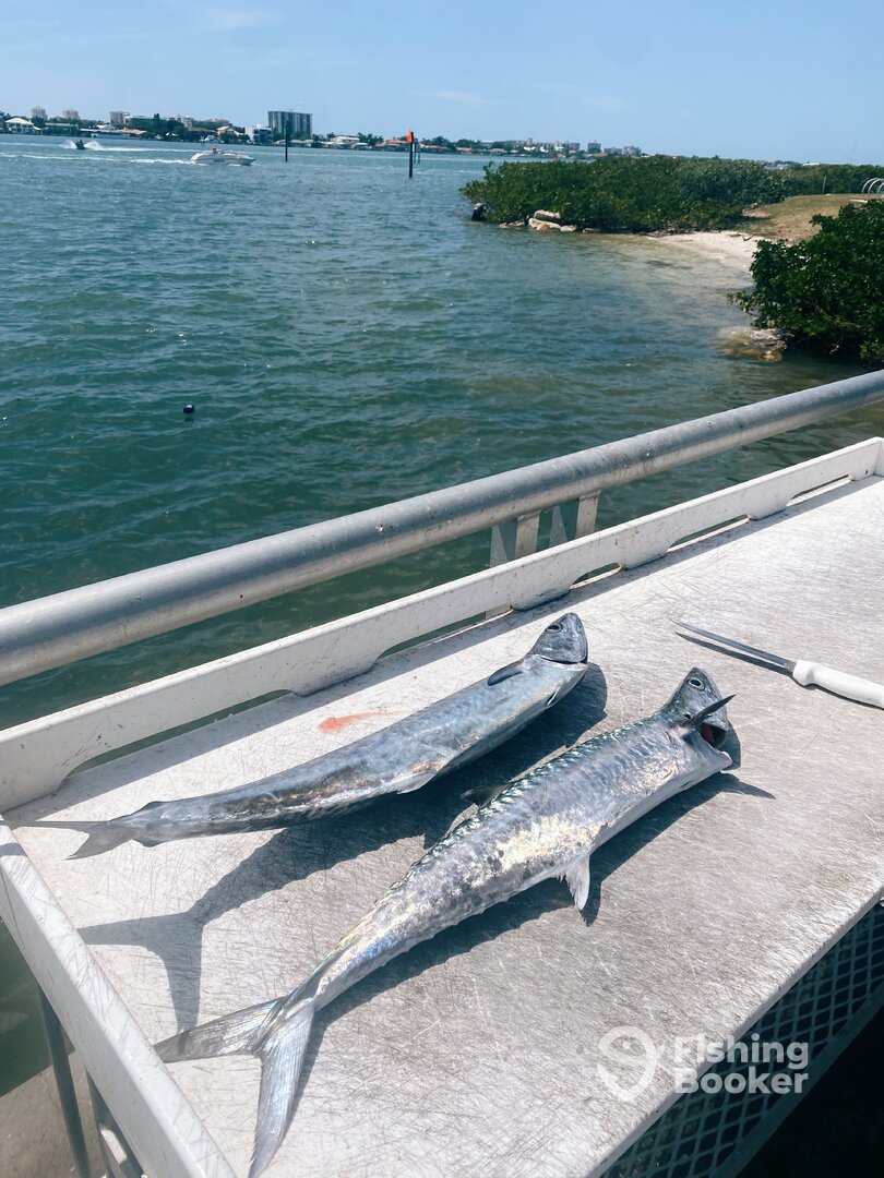 Clearwater Report Photo 0