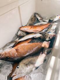 Clearwater Report Photo 1