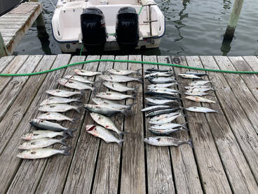 Hatteras Report Photo 2