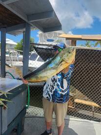 Great mahi action
