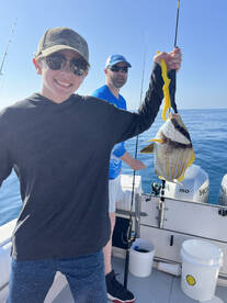 Palm Coast Report Photo 2