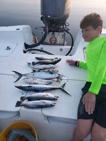 Cedar Key Report Photo 2