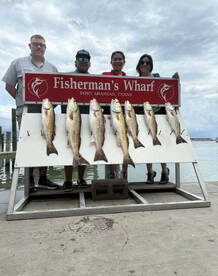 Port Aransas Report Photo 1