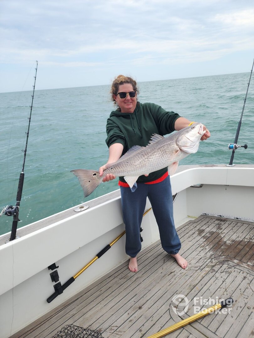 Norfolk Report Photo 0
