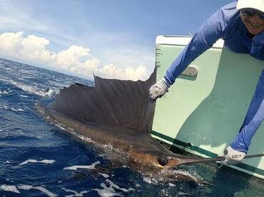 Quepos Report Photo 2