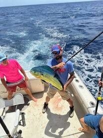 This past weekends stream, king and bott