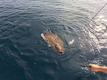 Ucluelet Report Photo 2