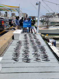 Black seabass limits