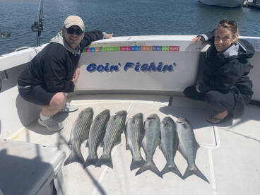 New York City Report Photo 1