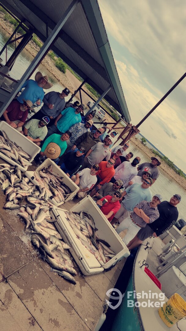 Pottsboro Report Photo 0