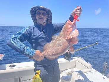 Gulfport Report Photo 2