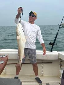 Galveston Report Photo 2