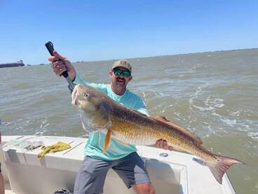 Galveston Report Photo 1