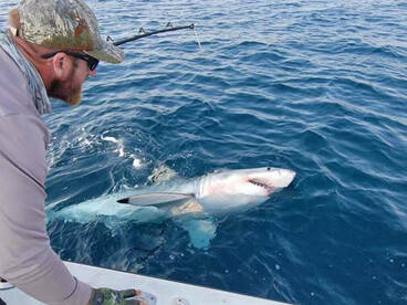 Fort Lauderdale Report Photo 1