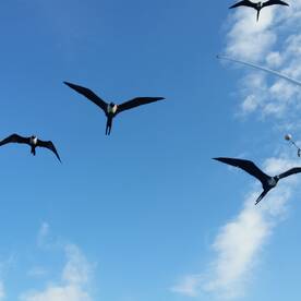 Cabo San Lucas Report Photo 2