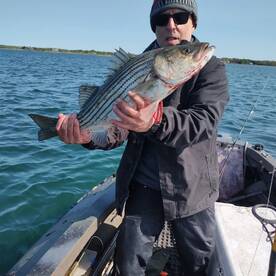 Mastic Report Photo 2