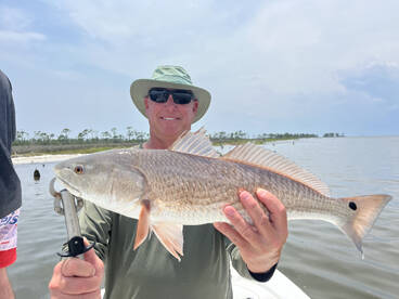 Gulf Shores Report Photo 2