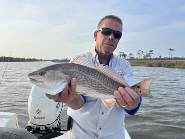 Gulf Shores Report Photo 1