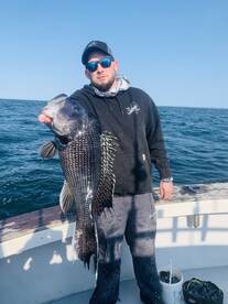 Narragansett Report Photo 1