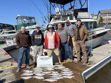 Hot coho salmon action!