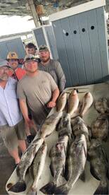 Reeling them in!!!!