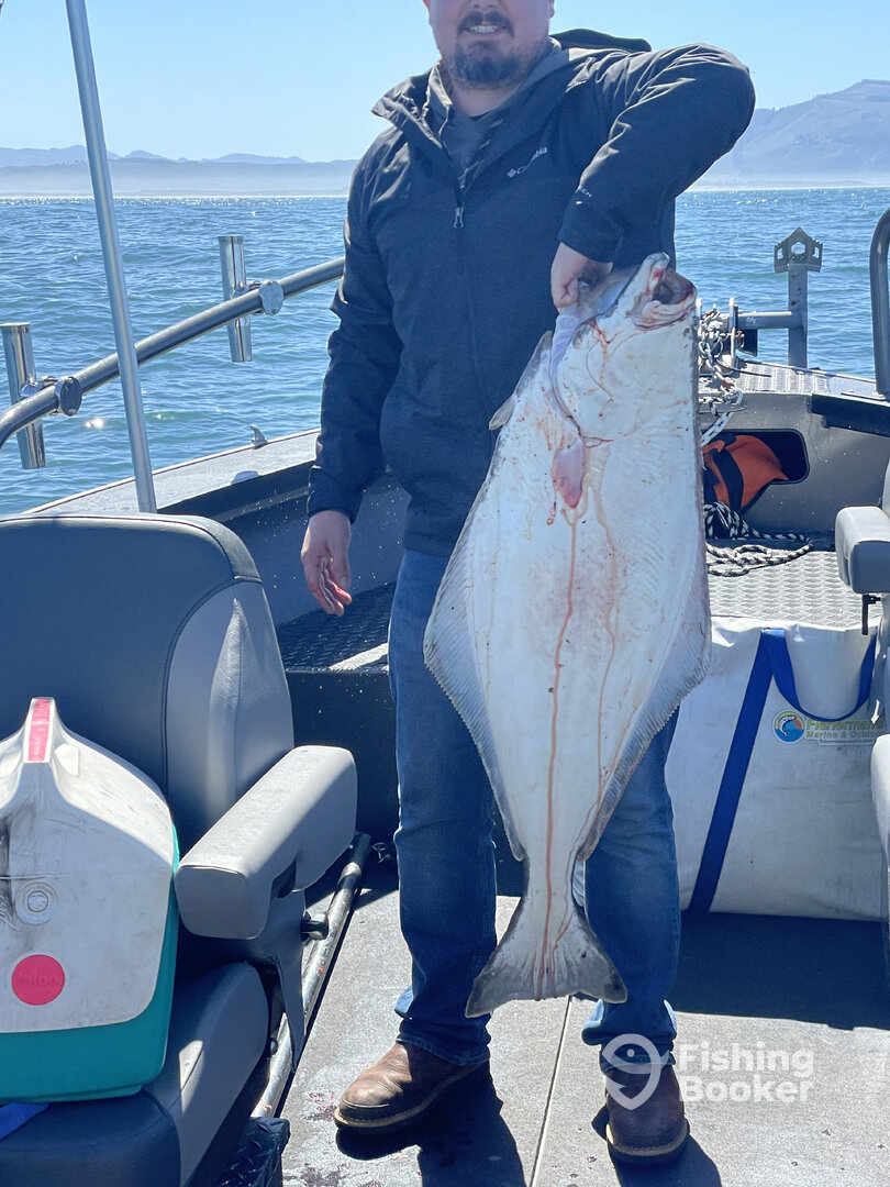 Garibaldi Report Photo 0