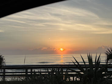 Palm Coast Report Photo 1