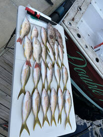 Stock Island Report Photo 1