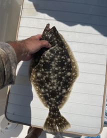 Flounder are here and feeding!