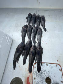 Harwich Report Photo 2