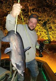 Ocean Pines Report Photo 2